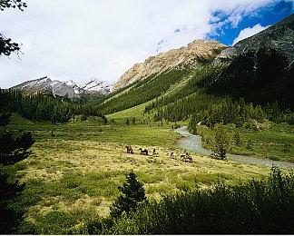 免费射击游戏《The Finals》正在使用AI进行配音